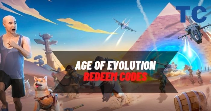 Age of Evolution Codes