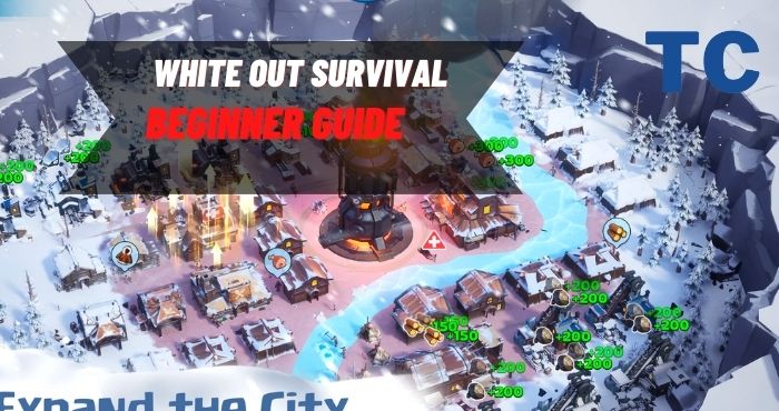 White Out Survival Beginner Guide