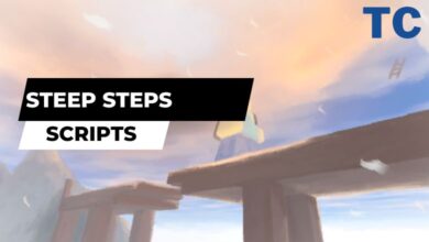 STEEP STEPS Scripts