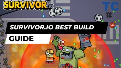 Survivor.io Best Build