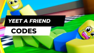 Yeet a Friend Codes