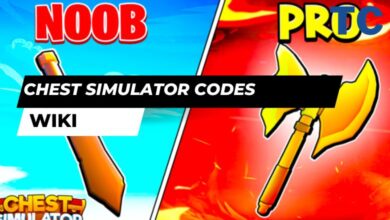Chest Simulator Codes