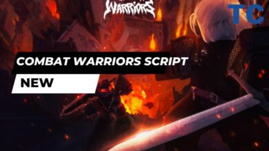 Combat Warriors Script