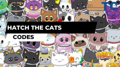 Hatch The Cats Codes Wiki
