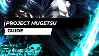 Project Mugetsu Guide