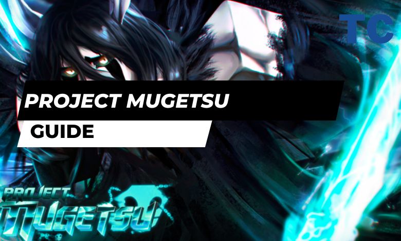 Project Mugetsu Guide