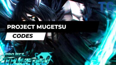 Project Mugetsu codes