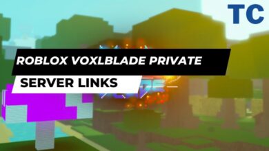 Roblox Voxlblade Private Server Links