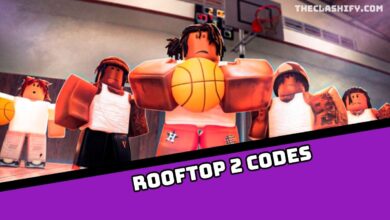Rooftop 2 Codes