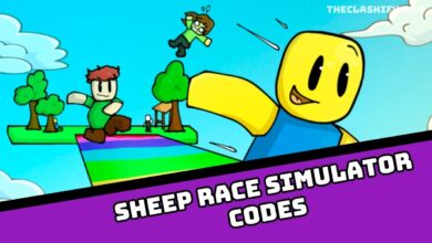 Sheep Race Simulator Codes