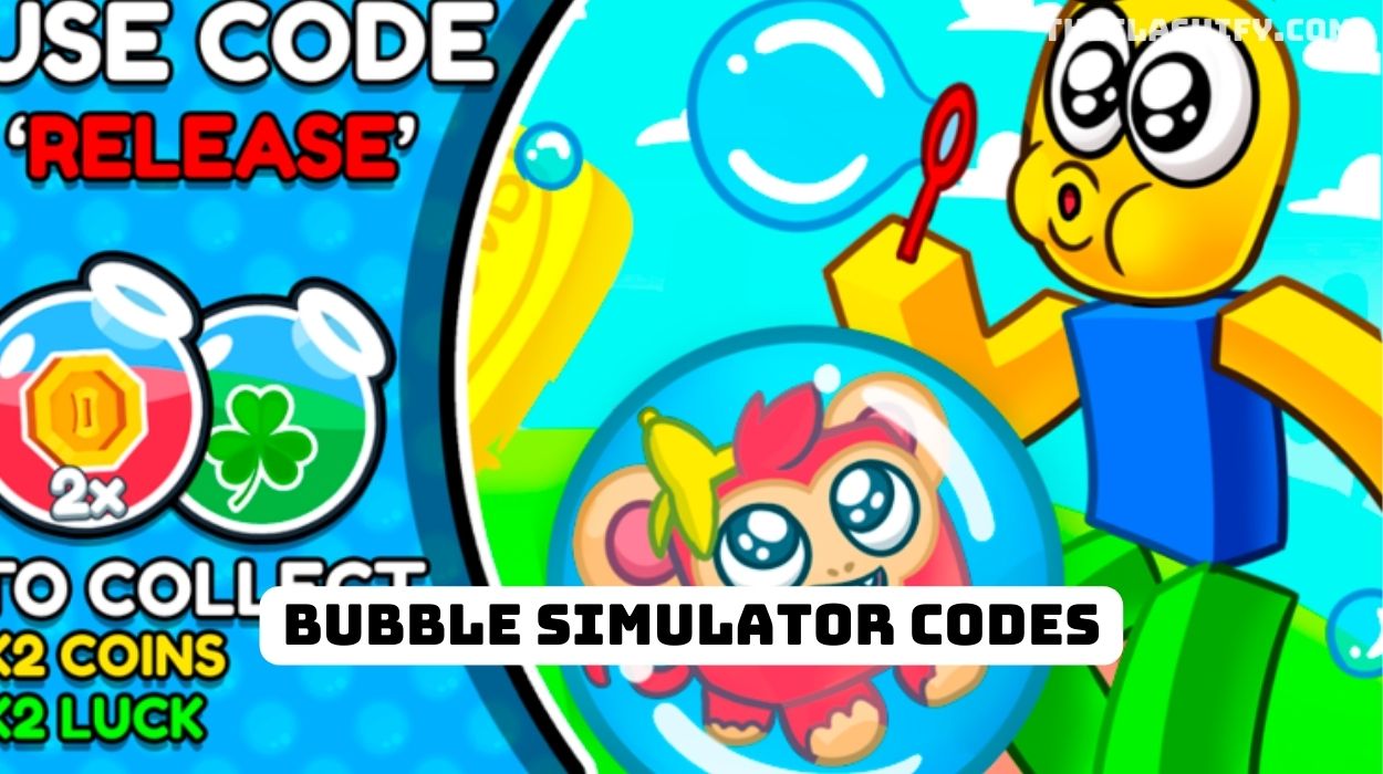 Bubble Simulator Codes