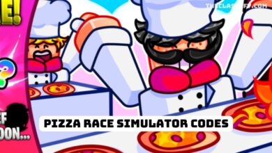 Pizza Race Simulator Codes