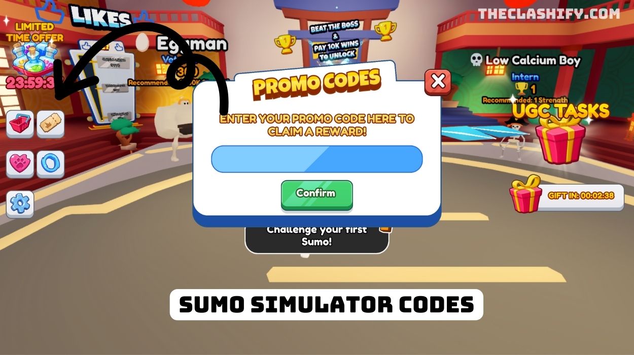 Sumo Simulator Codes