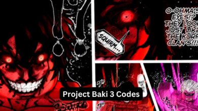 Project Baki 3 Codes